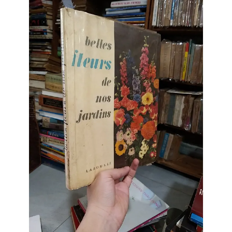 Belles fleurs de nos jardins 708458