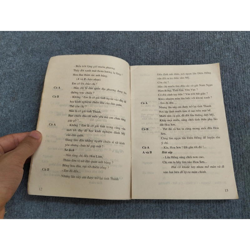 RỰC LỬA DIÊN HỒNG - MAI BÌNH 548224