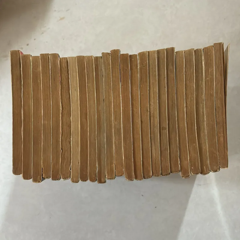 RAI 23/33 tập - Joji Manabi 975109