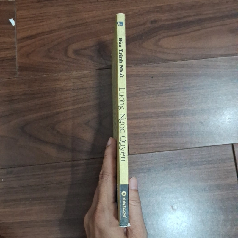 Lueowng ngọc quyến - góc nhìn sử việt 518450