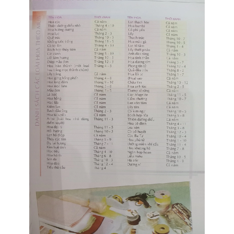 Nghệ thuật gói hoa tươi - Thiên Kim 536805