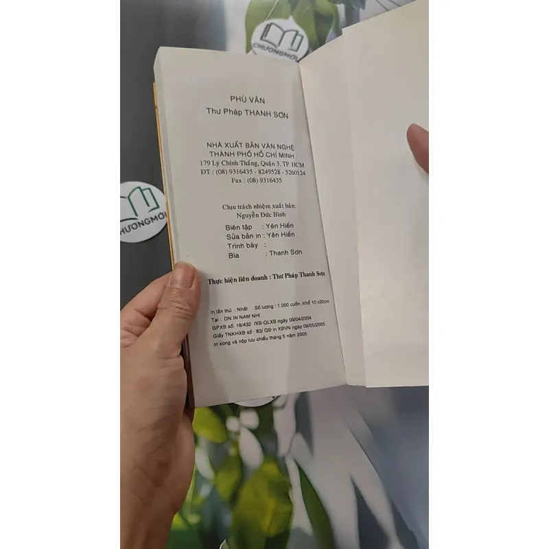 Phù Vân - Thư Pháp - Thanh Sơn 775953