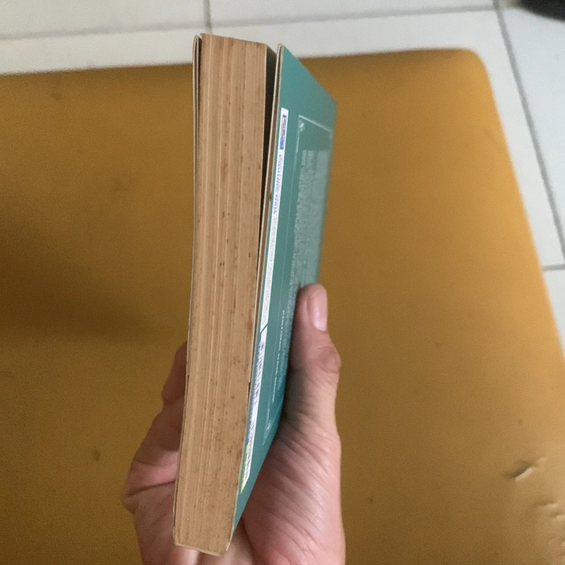 Một cơn gió bụi - Trần Trọng Kim 300962