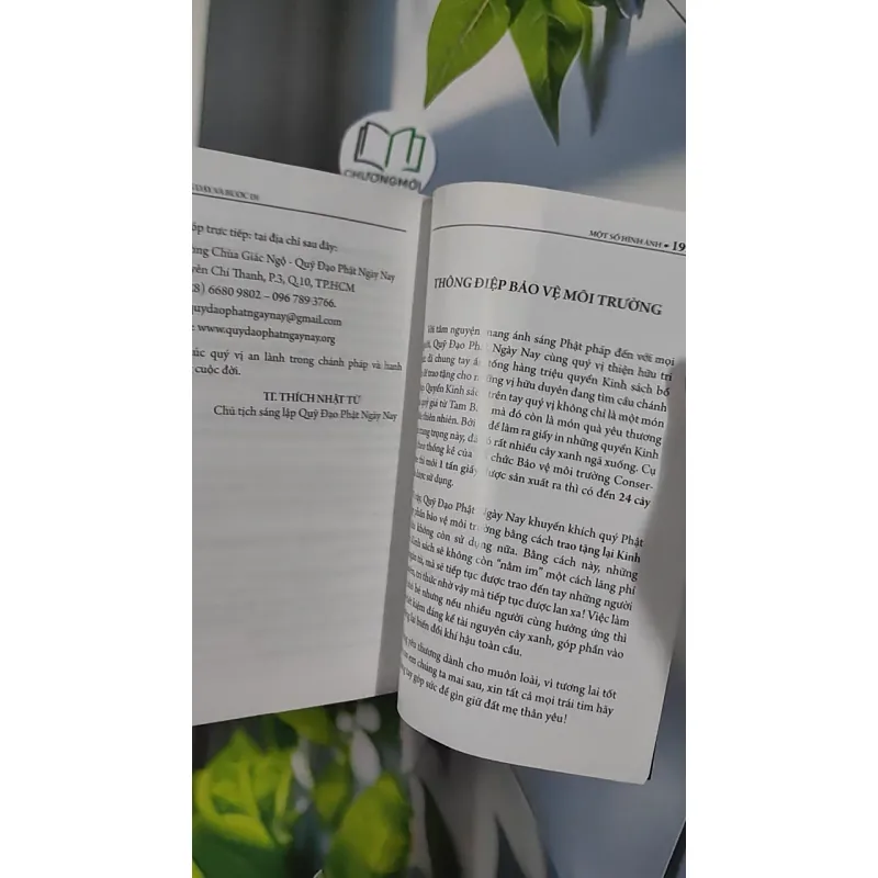 Đứng Dậy Và Bước Đi - Nguyễn Hướng Dương 798435