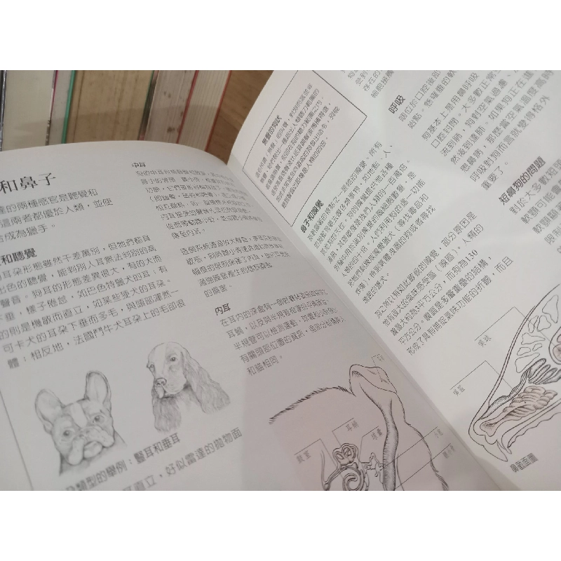 Sách tiếng Trung 19 730802