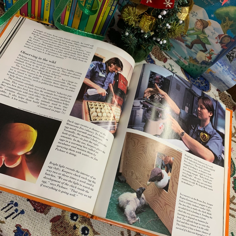 Sách tranh tiếng anh Zoos Without Cages (World Explorers Series 2), Used, Bìa cứng 335309