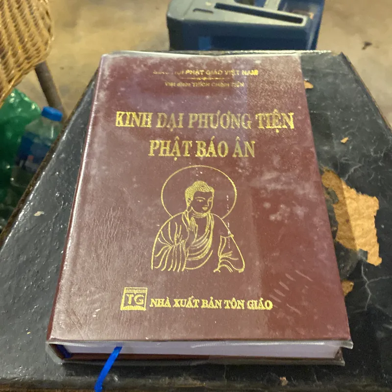 Kinh Đại Phương Tiện Phật Báo Ân- Thích Chính Tiền 692591