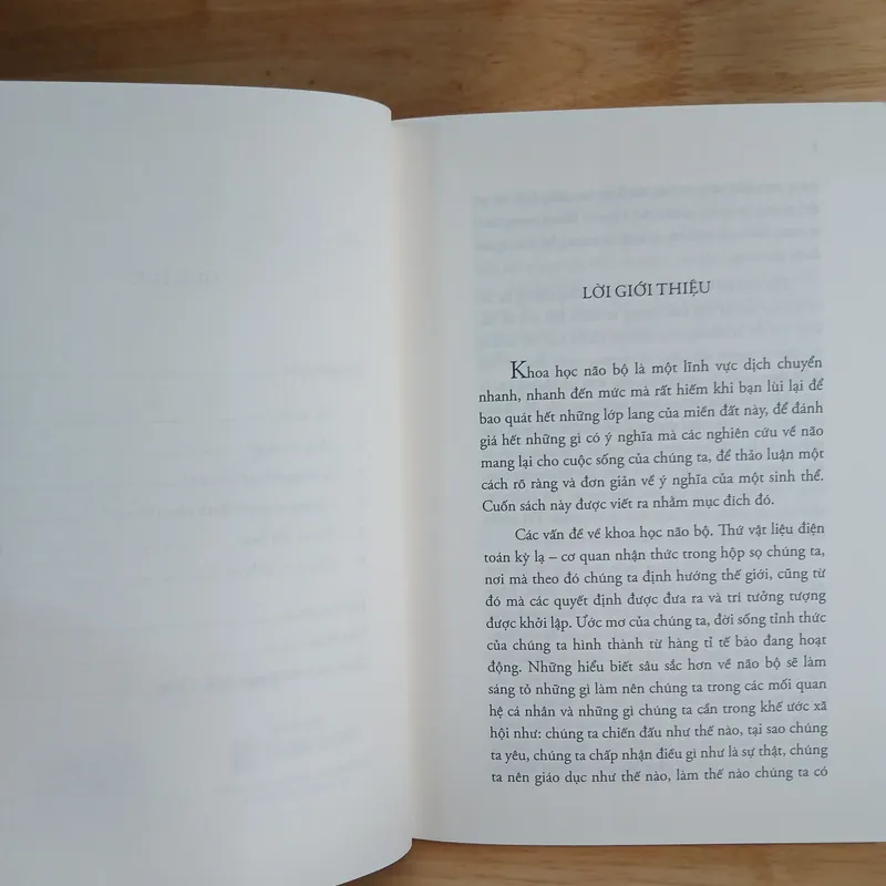 Não Bộ Kể Gì Về Bạn? - David Eagleman 673779