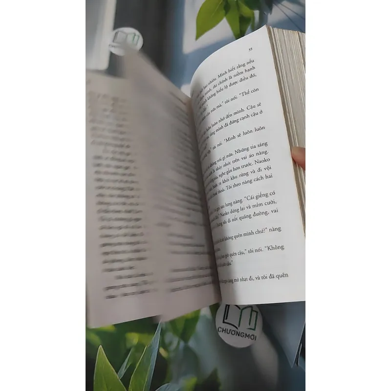 Rừng Na-uy - Haruki Murakami 1064287