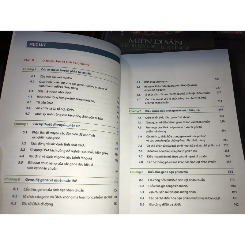 Sinh học phân tử của tế bào tập 2  1010154