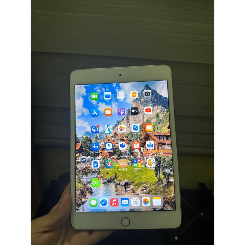 iPad mini 4 đã qua sử dụng 185784