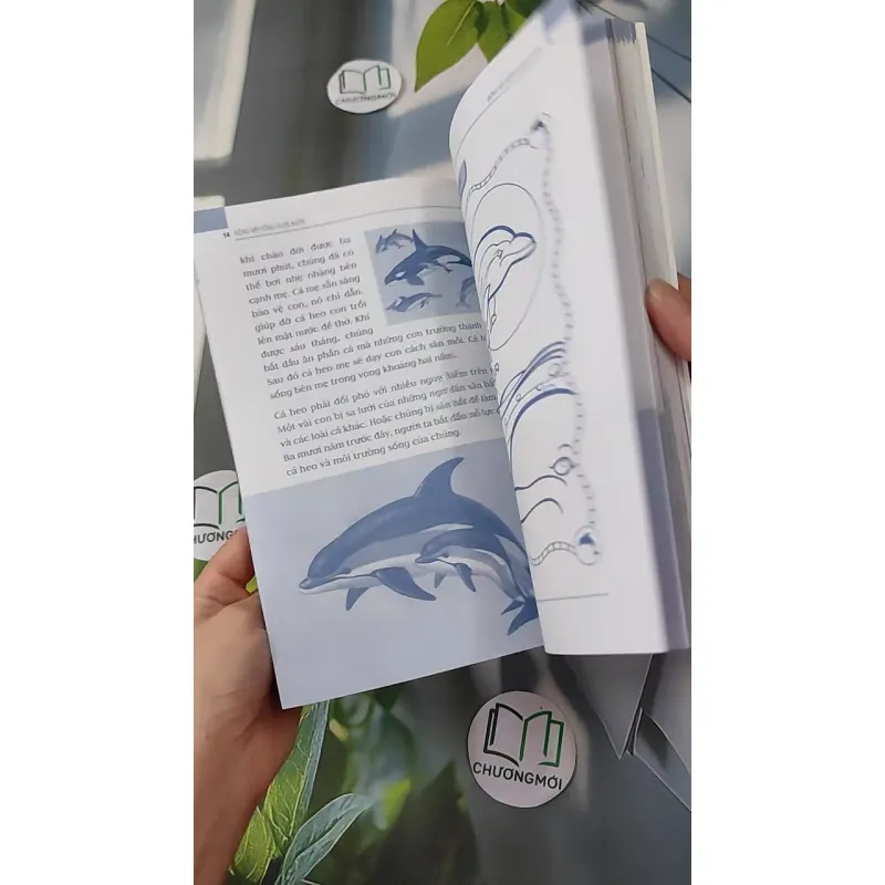 Động vật: Sống dưới nước, bò sát và côn trùng - An Khánh 1018832