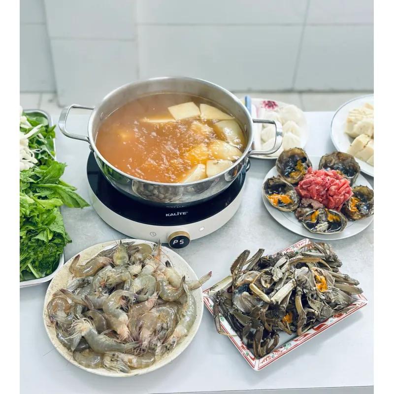 Bếp từ đơn Kalite Power S8 745783