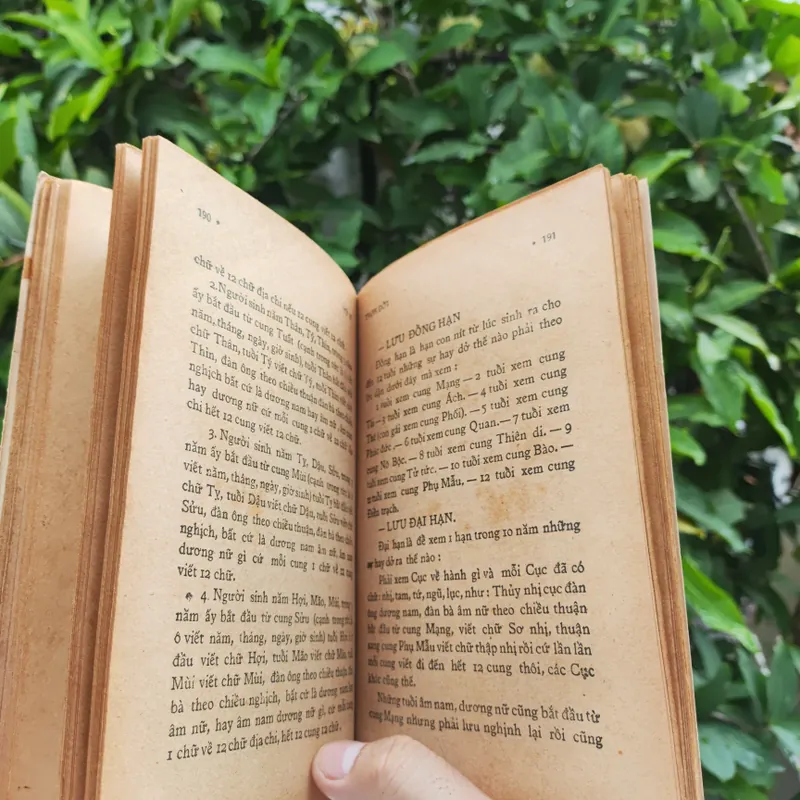 Số Tử Vi Theo Khoa Học Huyền Bí - Nguyễn Công Huân và Mộng Nhân 557769