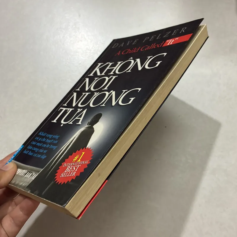 Không nơi nương tựa - Dave Pelzer (t01) 750979