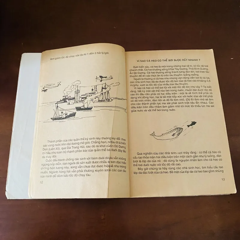 Những câu hỏi lý thú (1991) 974228