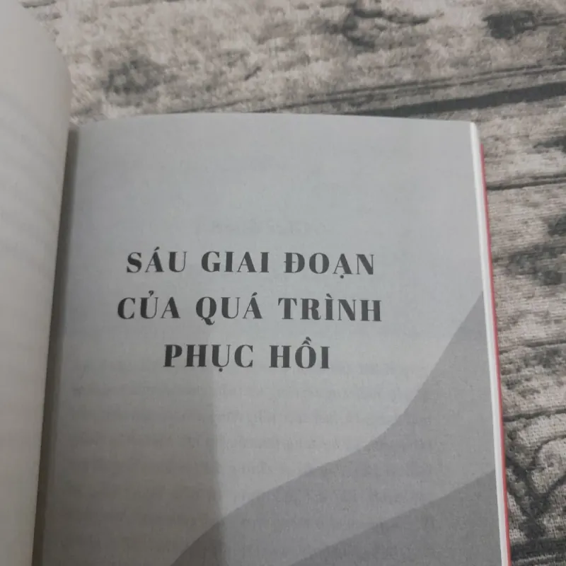 Thao Túng Tâm Lý- Thoái khỏi  quan hệ thao túng và Thức tỉnh. TG Shannon Thomas 747528