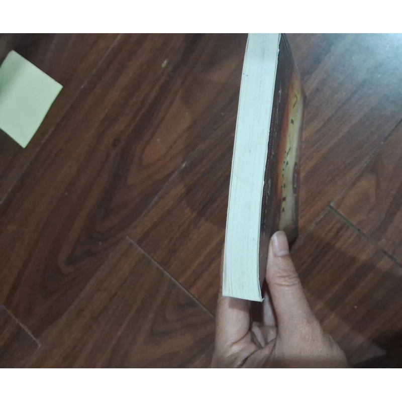 The magic phép màu 551541