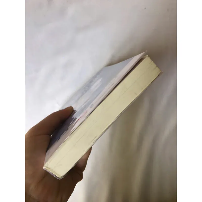 Sách đã qua sử dụng Con Búp Bê Chắp Vá - Irene Hannon 739998