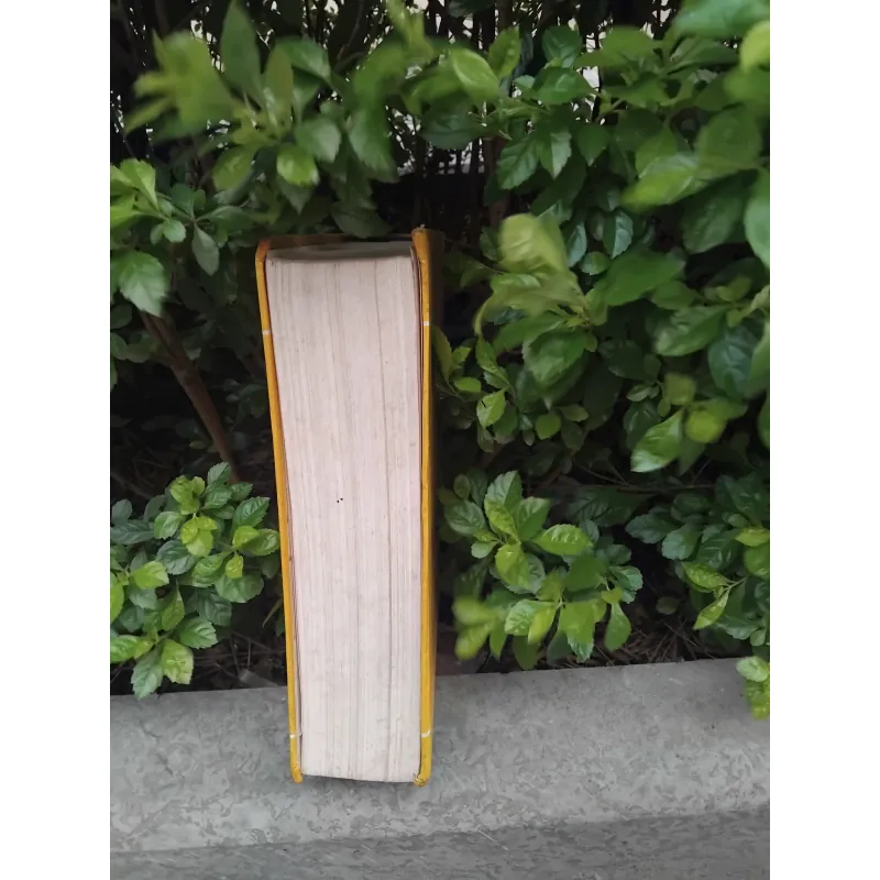 Việt sử cương mục tiết yếu của Đặng Xuân Bảng  1001930