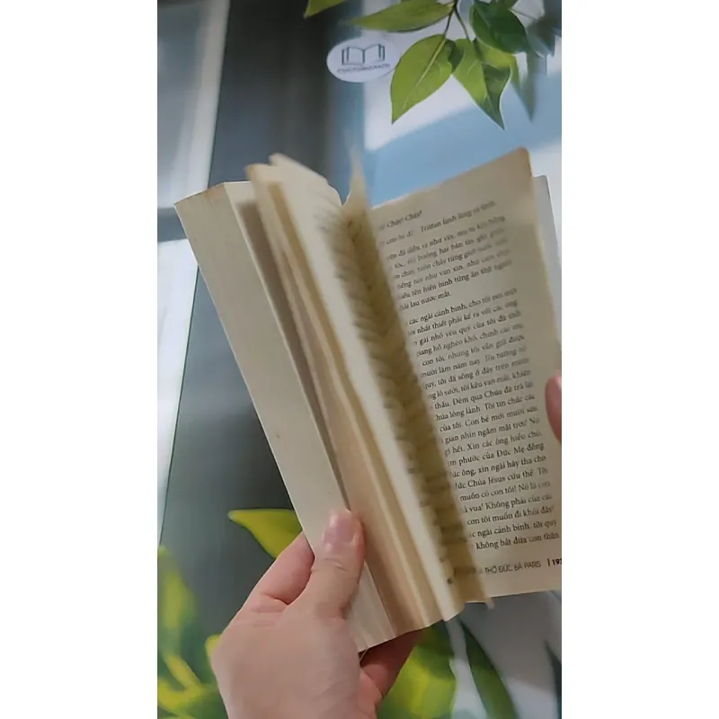 Thằng gù nhà thờ Đức Bà - Victor Hugo 607753