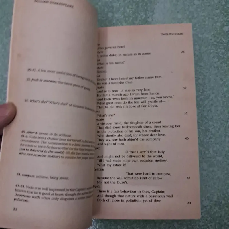Twelfth Night - william shekespeare 997975