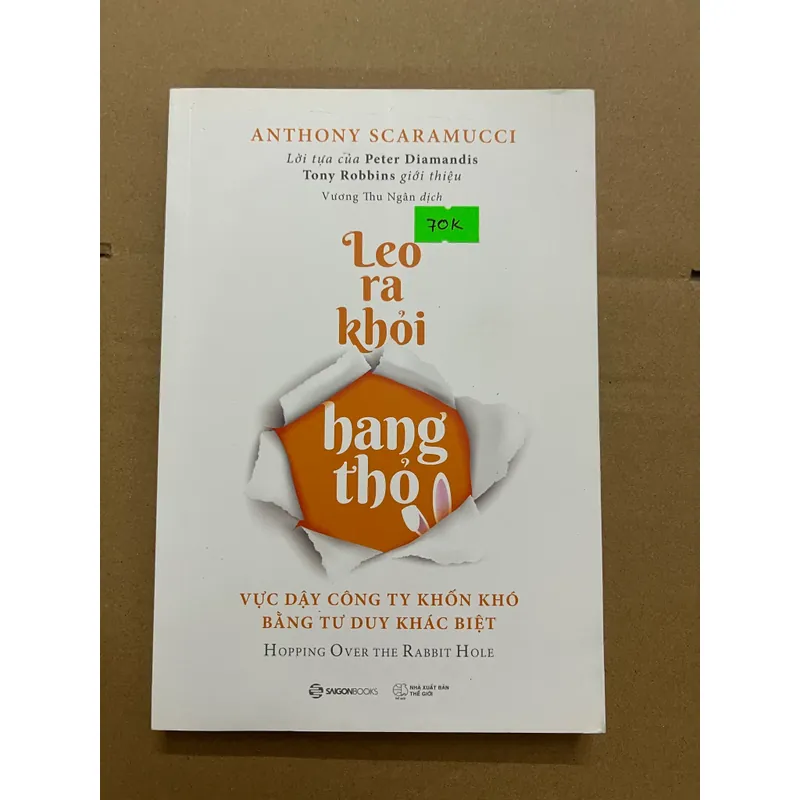 Leo ra khỏi hang thỏ 569259