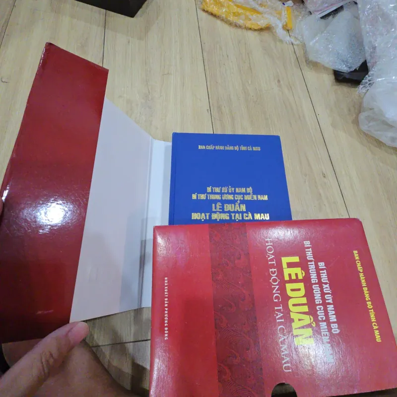 Bí thư xứ ủy Nam Bộ Lê Duẩn hoạt động tại Cà Mau 1030550