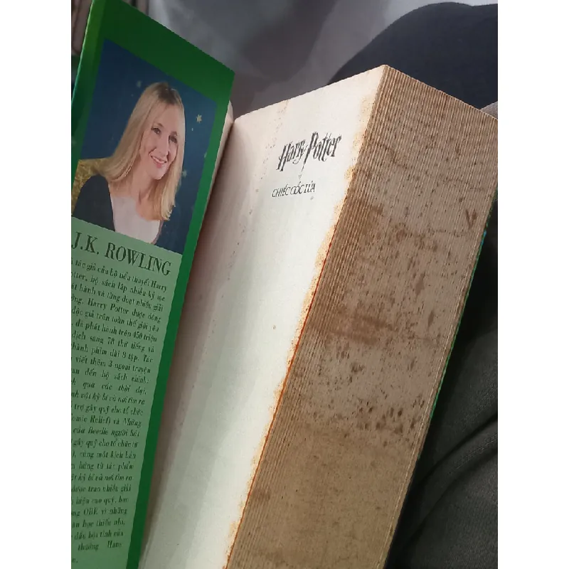 Harry Potter và chiếc cốc lửa - J. K. Rowling 467240