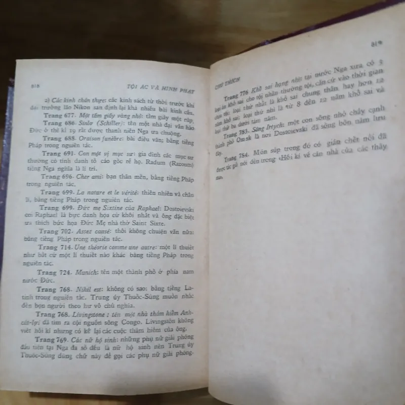 TỘI ÁC VÀ HÌNH PHẠT (NGUỒN SÁNG 1973) - DOSTOIEVSKI, LÝ QUỐC SINH dịch 1025196