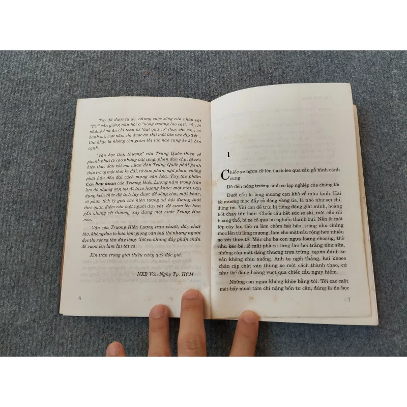 CÂY HỢP HOAN 694788