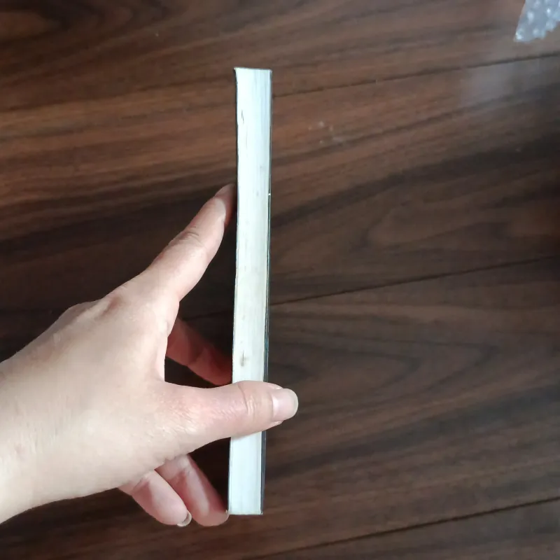 Mười người da đen nhỏ 763308