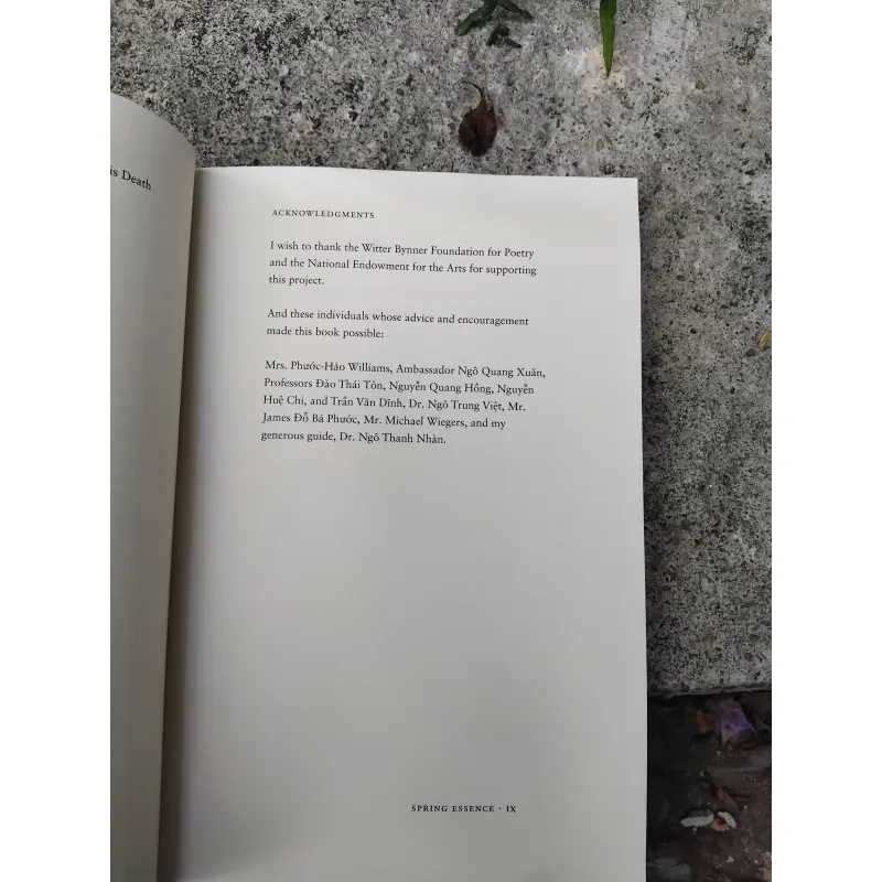 Spring essence the poetry of Hồ Xuân Hương  1036716