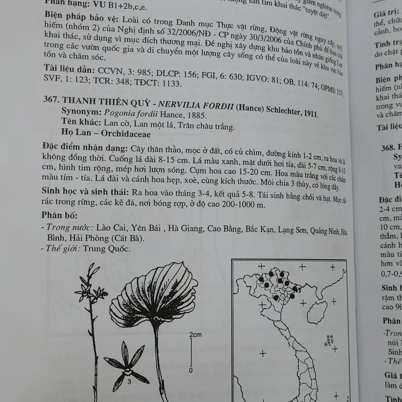 SÁCH ĐỎ VIỆT NAM - PHẦN THỰC VẬT  568462