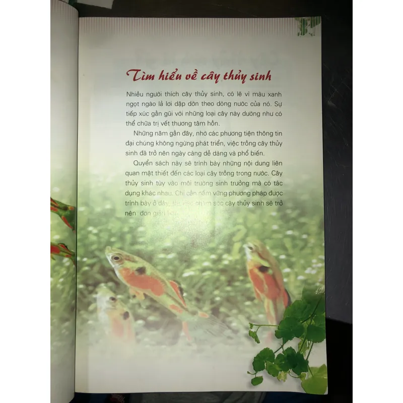 Cây cảnh trong nước - Trồng và chăm sóc 100 loại cây cảnh trong nước  732804