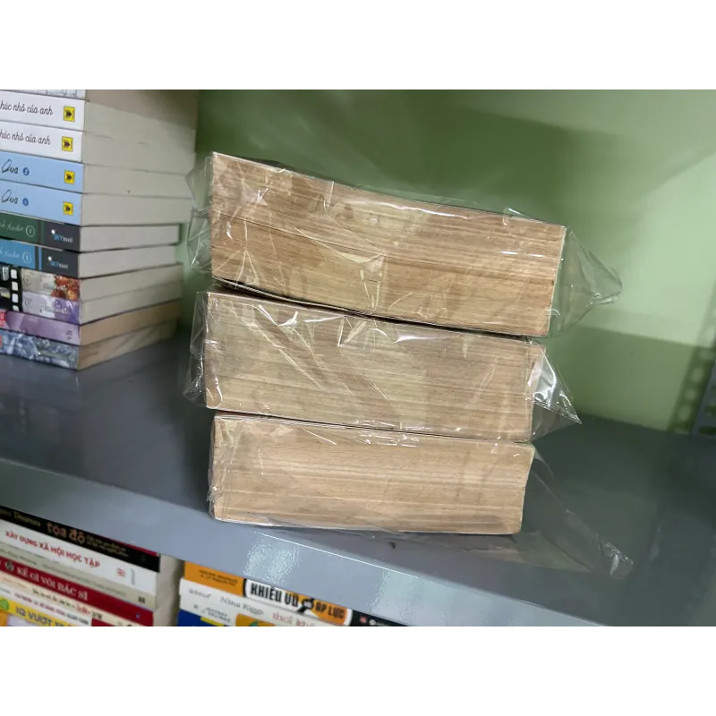 Sử ký tư mã thiên (bị mối ăn không ảnh hưởng đến chữ bên trong) 746792