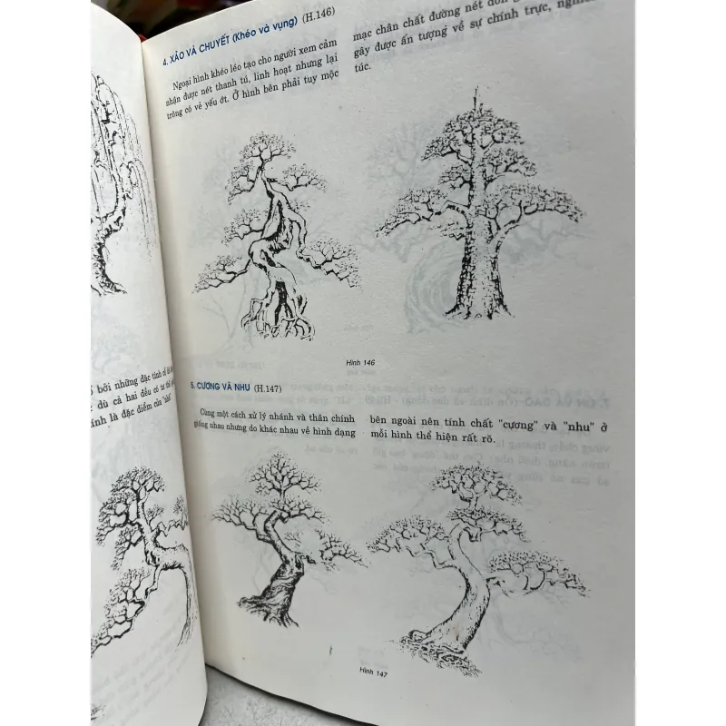 Tạo dáng bon sai liên trí hưng 927771