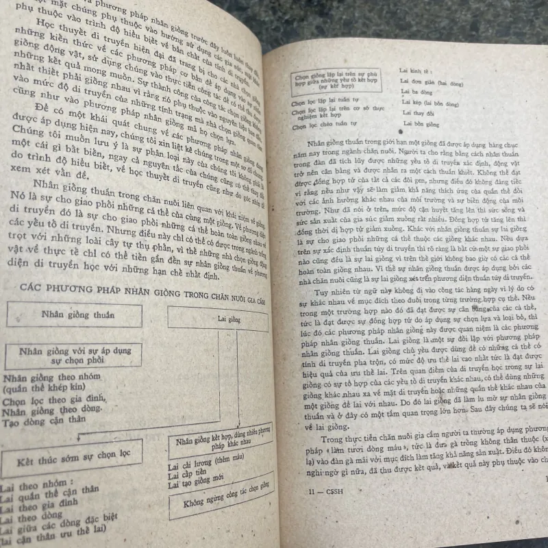 Cơ sở sinh học của nhân giống và nuôi dưỡng gia cầm XB1978 760395