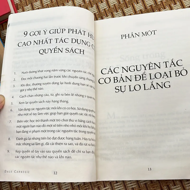 Quẳng gánh lo đi và vui sống 1017782