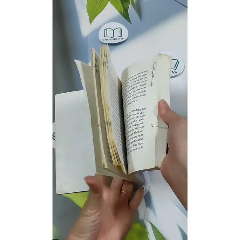 5 Centimet Trên Giây 703127