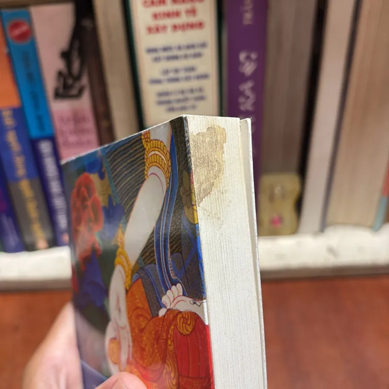 II Giải Thoát Tâm Thức _ Thực Hành Pháp Môn Lục Độ Mẫu Tara - Thubten Chodron - 2015 927773