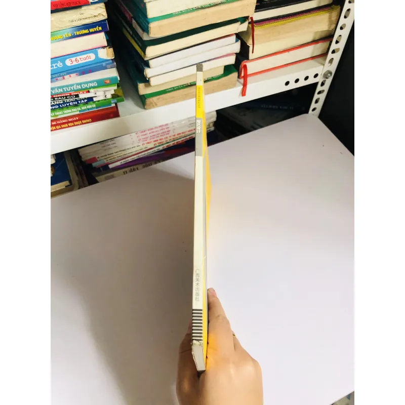 📘 陶艺设计 (Sách về thiết kế gốm sứ – tiếng Trung) 601397