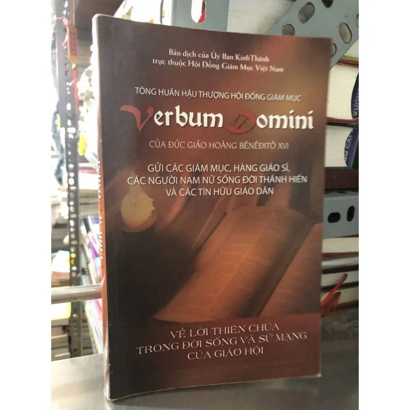 Tông huấn Verbum Domini 1009745