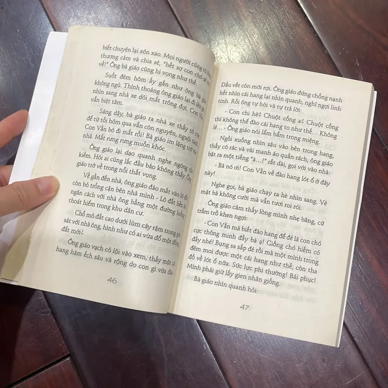 Văn học tuổi hoa - CHÓ HOANG - BÙI TỰ LỰC nxb KD 2017  1026002