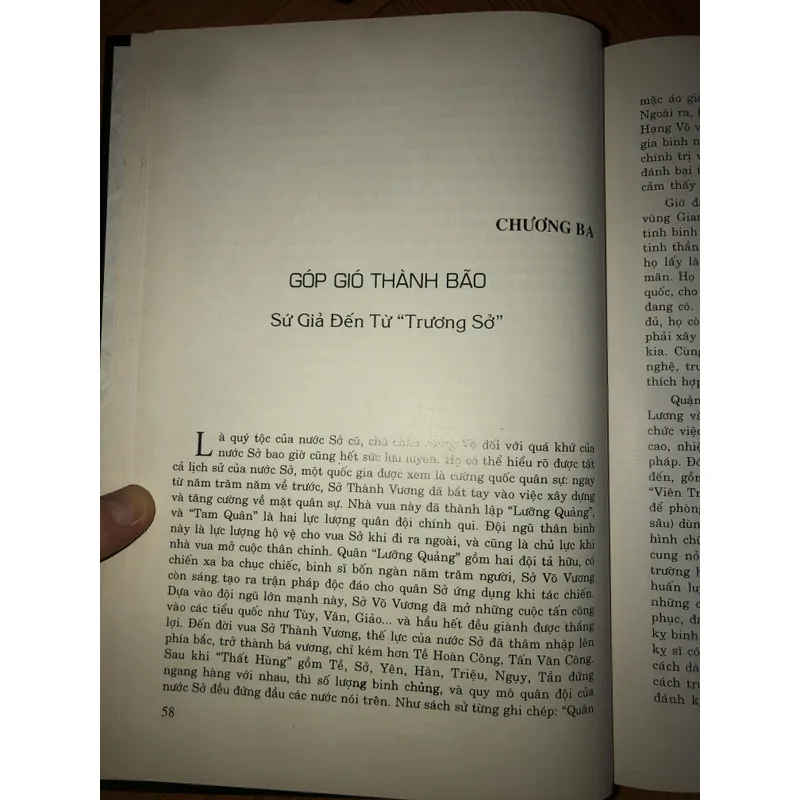 Tây sở bá vương hạng võ  731770