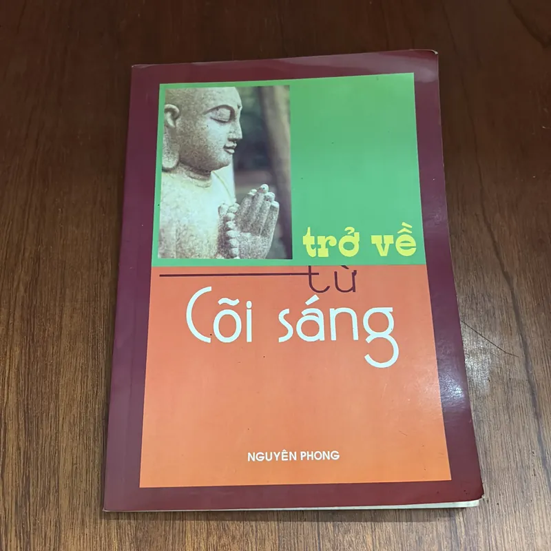 Tựa sách: Trở về từ cõi sáng - Nguyên Phong 414026