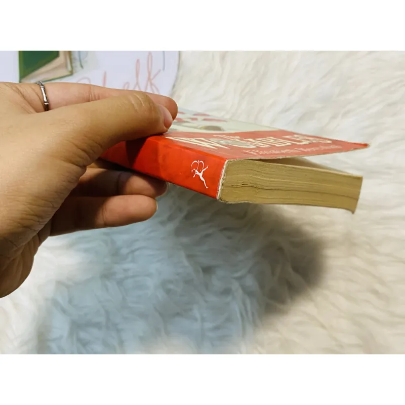 [Sách 2hand từ US] Like new 90% - The Wombles - Elisabeth Beresford 1004268