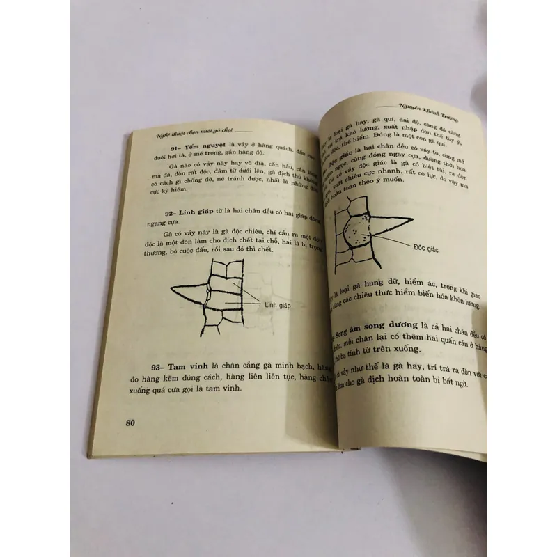 NGHỆ THUẬT CHỌN NUÔI GÀ CHỌI 726849