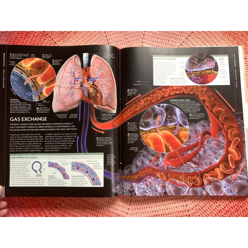 The Human Body Book: An Illustrated Guide to Its Structure, Function and Disorders. 646342