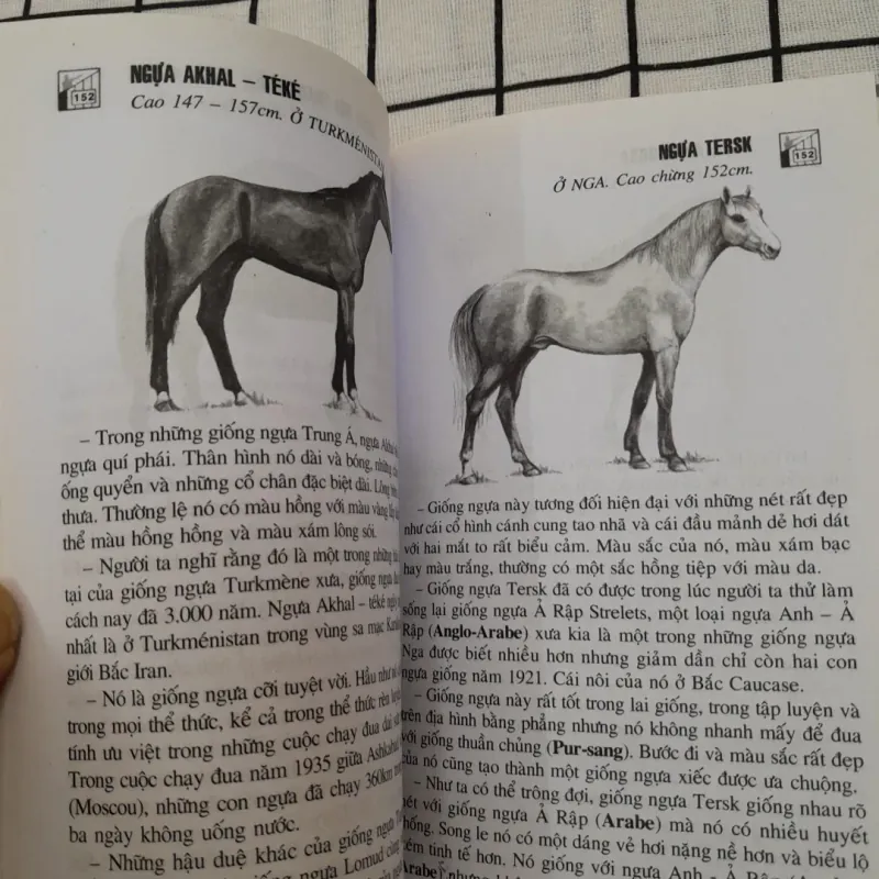 NGỰA & NGỰA TƠ- Nhận dạng 108 loại ngựa trên thế giới. Dịch từ t. Pháp. Tg  David Burn 792190